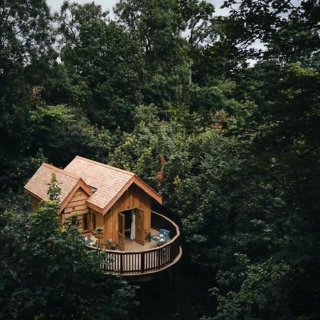 Wildhive Callow Hall 애쉬본 외부 사진