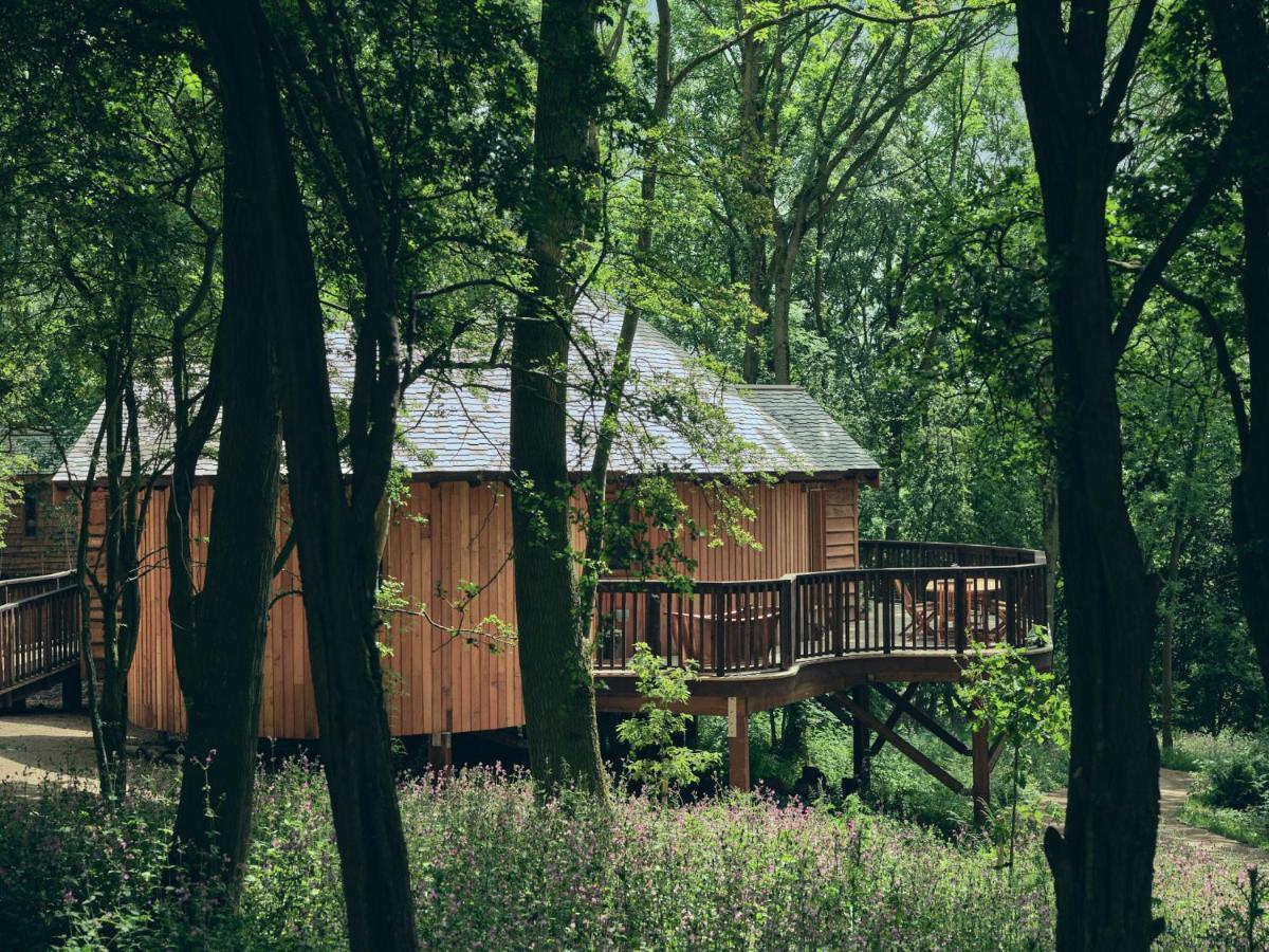 Wildhive Callow Hall 애쉬본 외부 사진