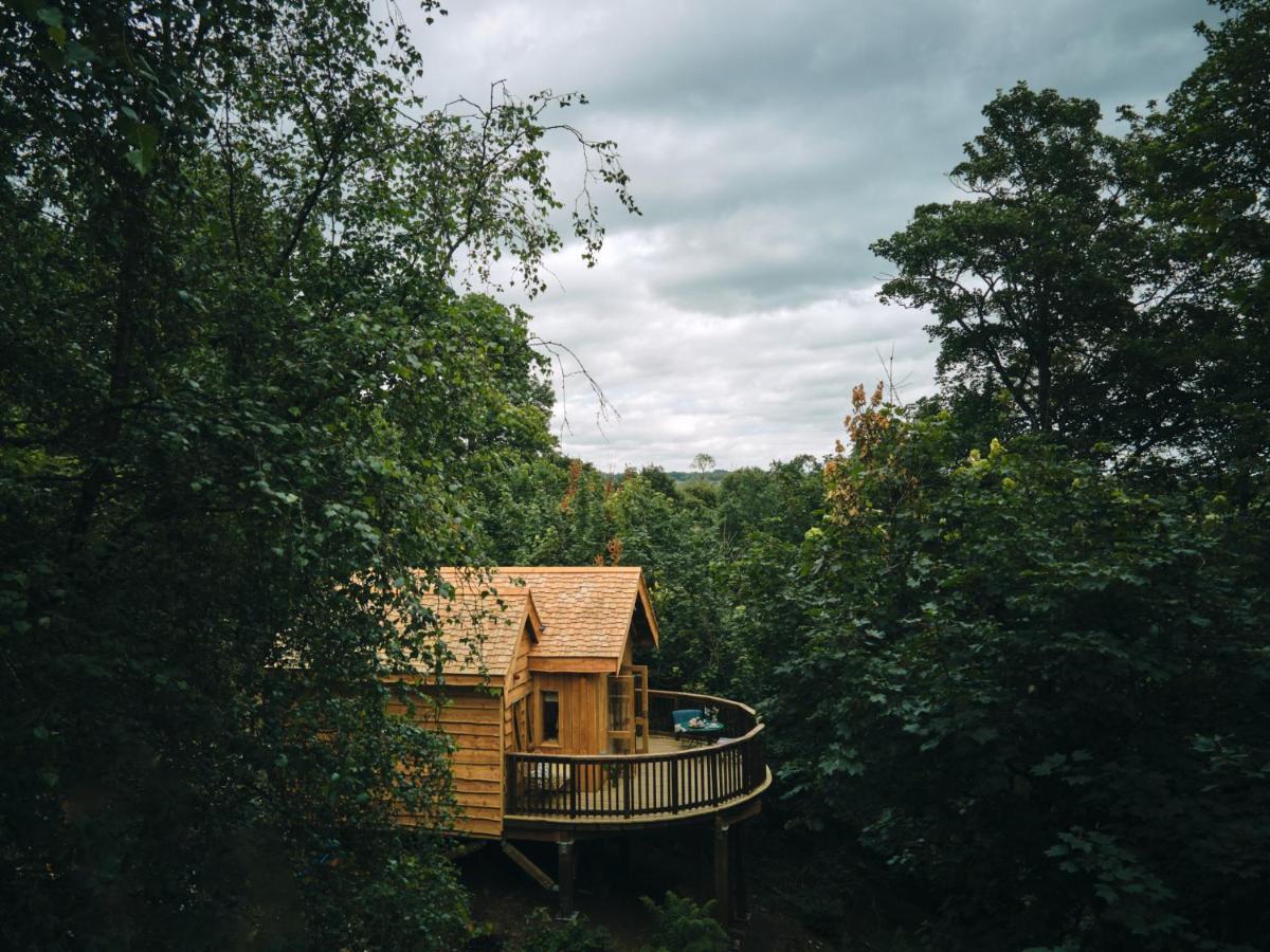 Wildhive Callow Hall 애쉬본 외부 사진